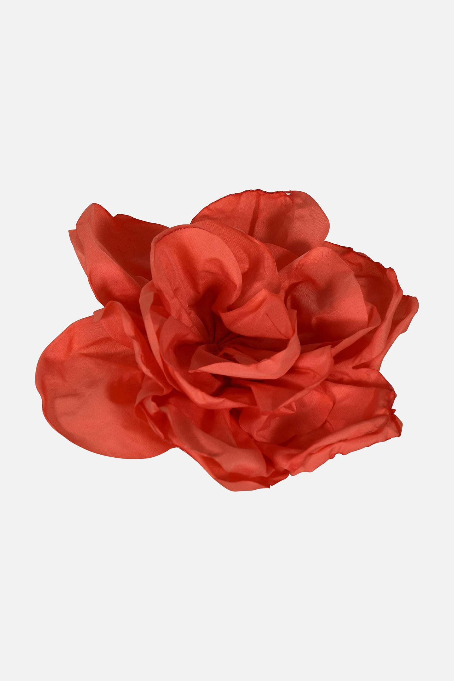 FNCAC01678.CORAL.2.jpg