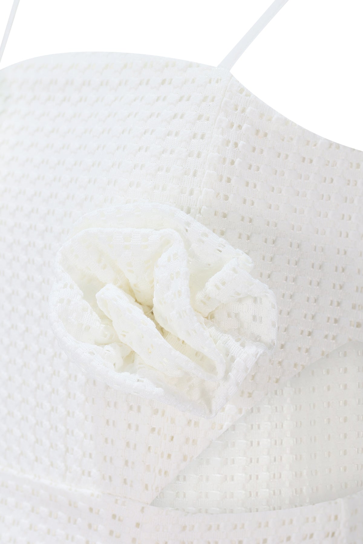 FJDR02946.WHITE.03.jpg