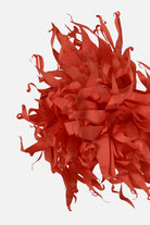 FNCAC01680.CORAL.3.jpg
