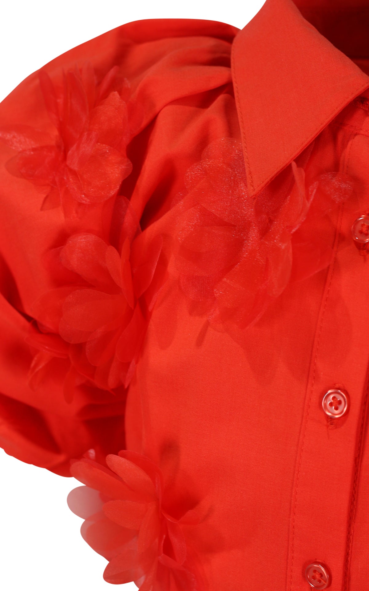 FJDR03091.RED.03.jpg