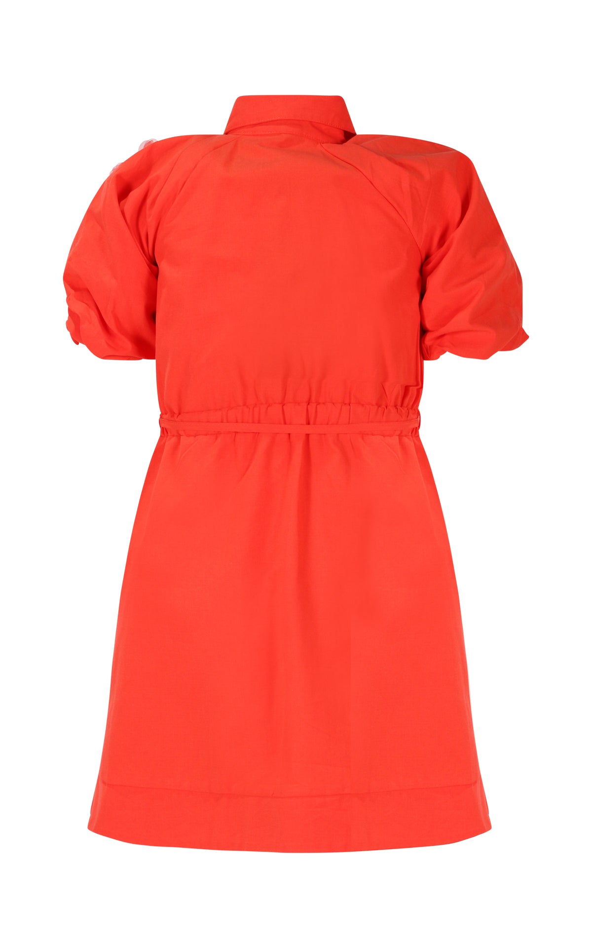 FJDR03091.RED.02.jpg