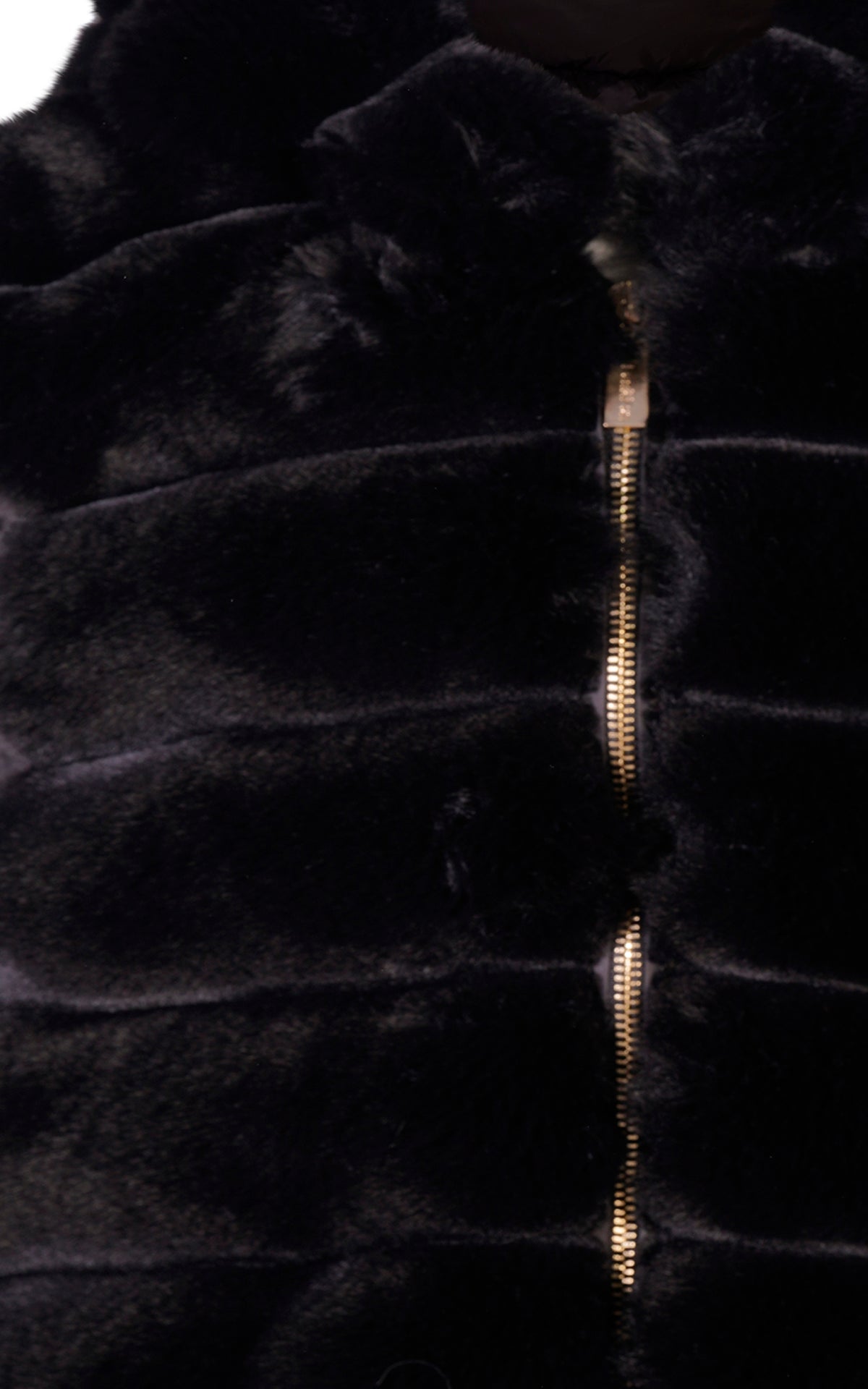 FJWA02035.3.jpg