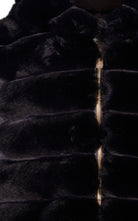FJWA02035.3.jpg