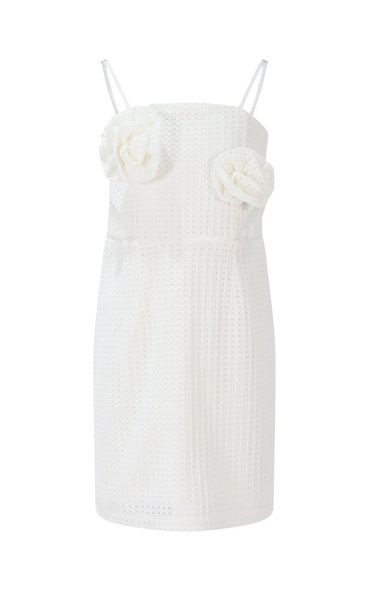FJDR02946.WHITE.01.jpg