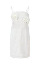 FJDR02946.WHITE.01.jpg