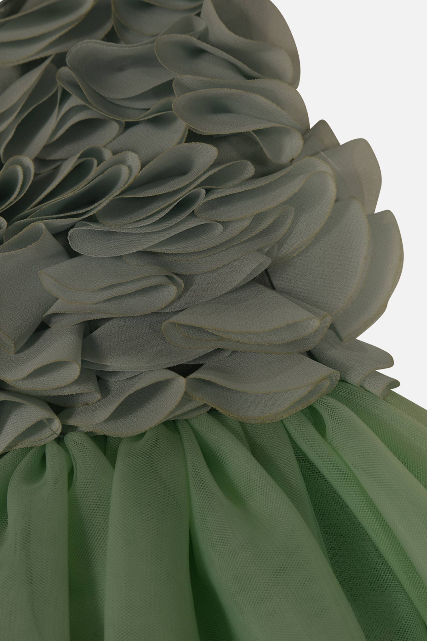 FNCNDR01003.GREEN.3.jpg