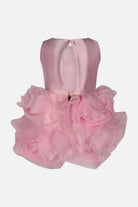 FNCBDR01039.PINK.2.jpg