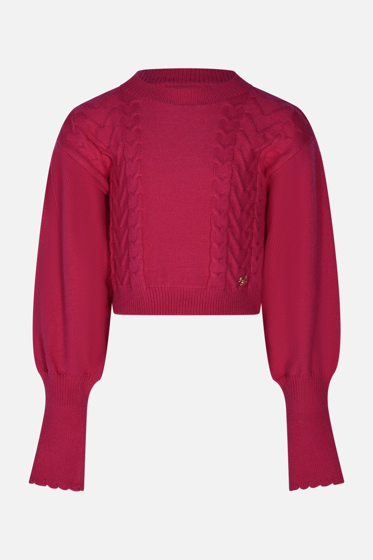 FCJSW00007.FUCSIA.1.jpg