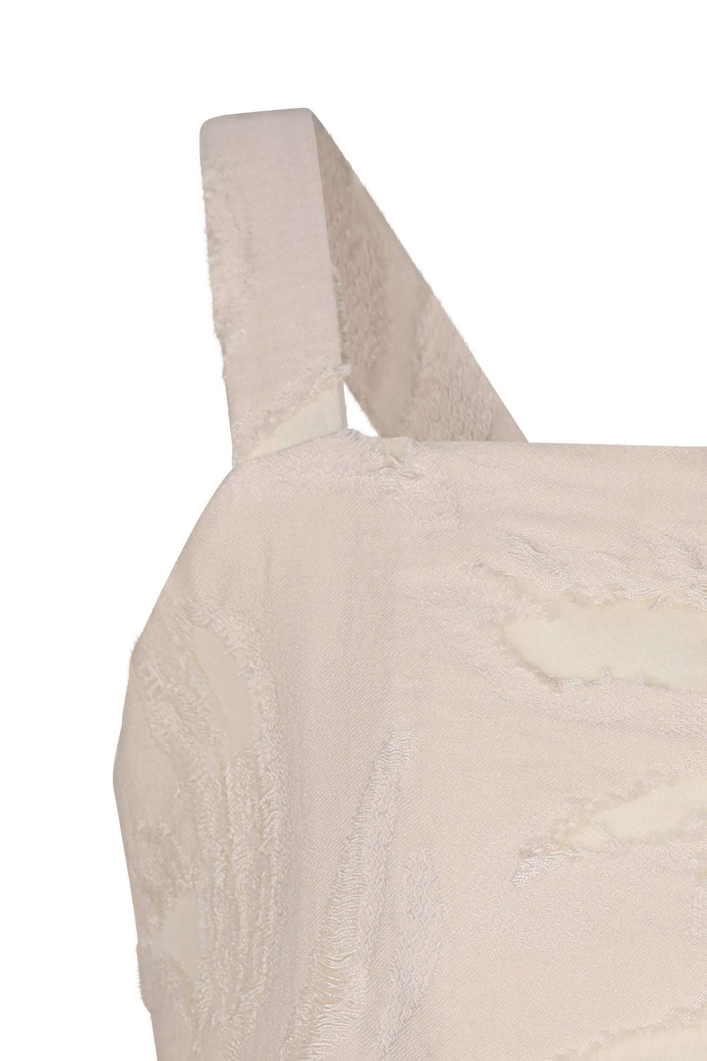 FCJTP03041.BURRO.03.jpg
