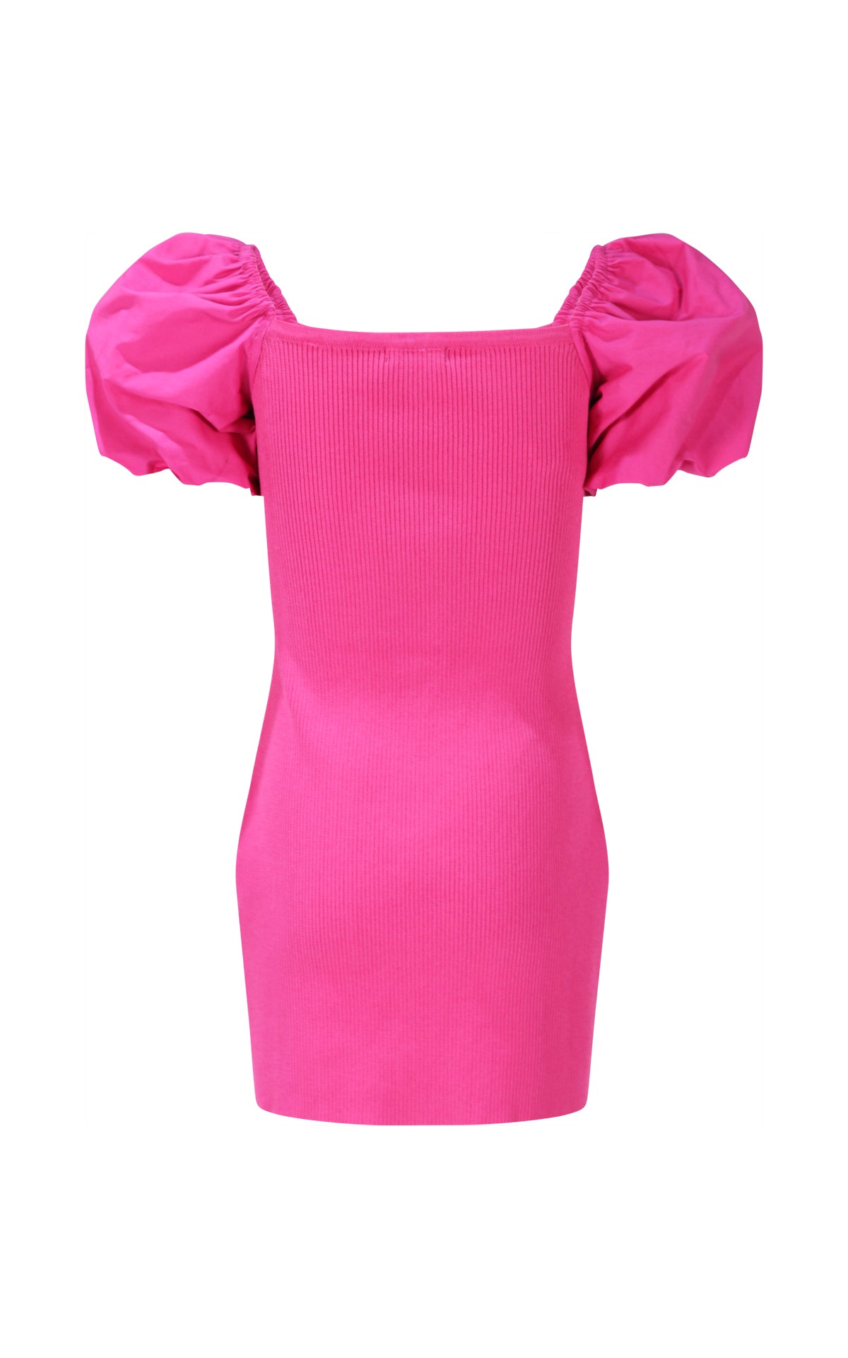FJDR02891.FUCSIA.02.jpg