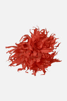 FNCAC01680.CORAL.2.jpg
