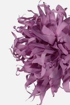 FNCAC01680.GLICINE.3.jpg