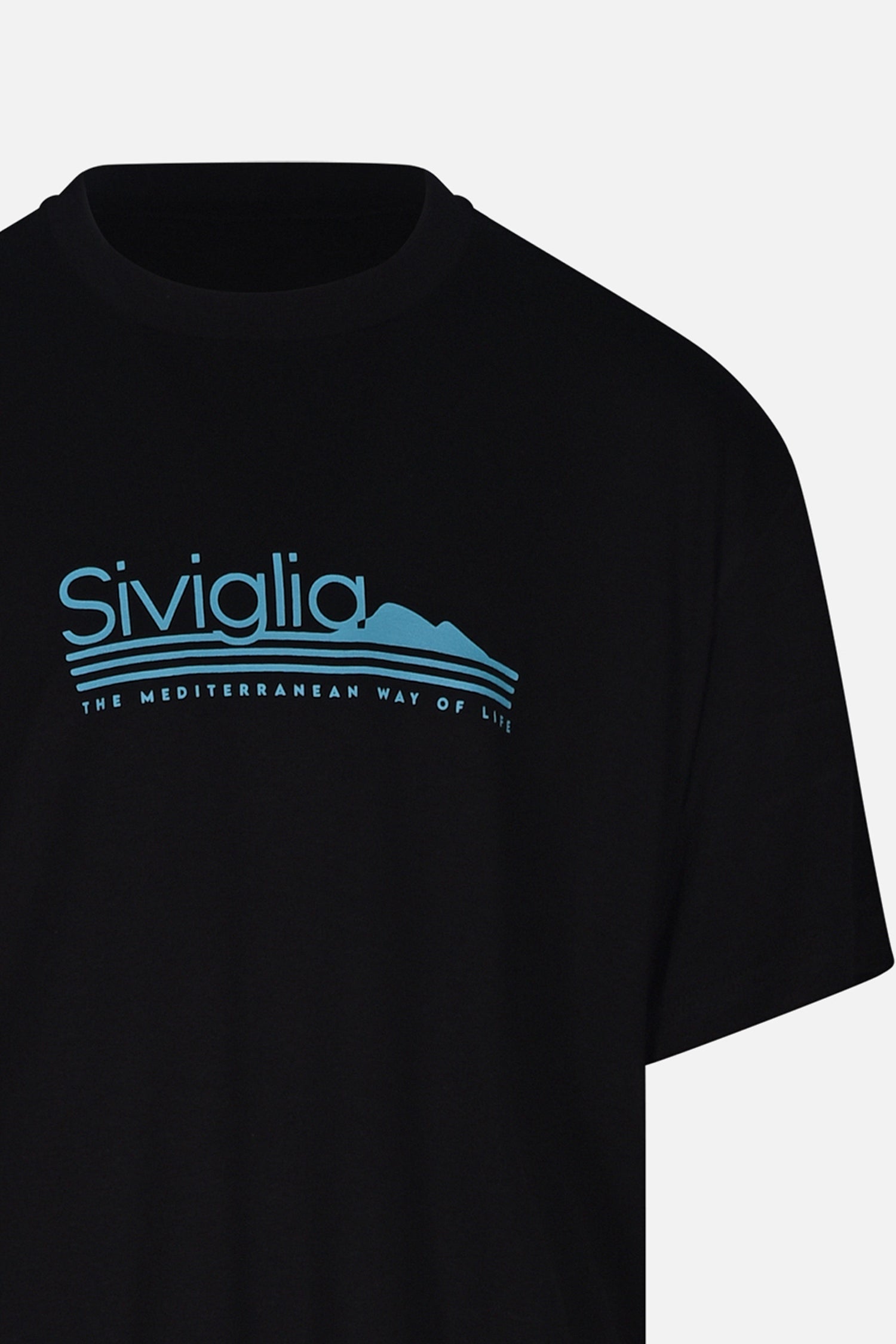 SVJTS01468.BLU.3.jpg