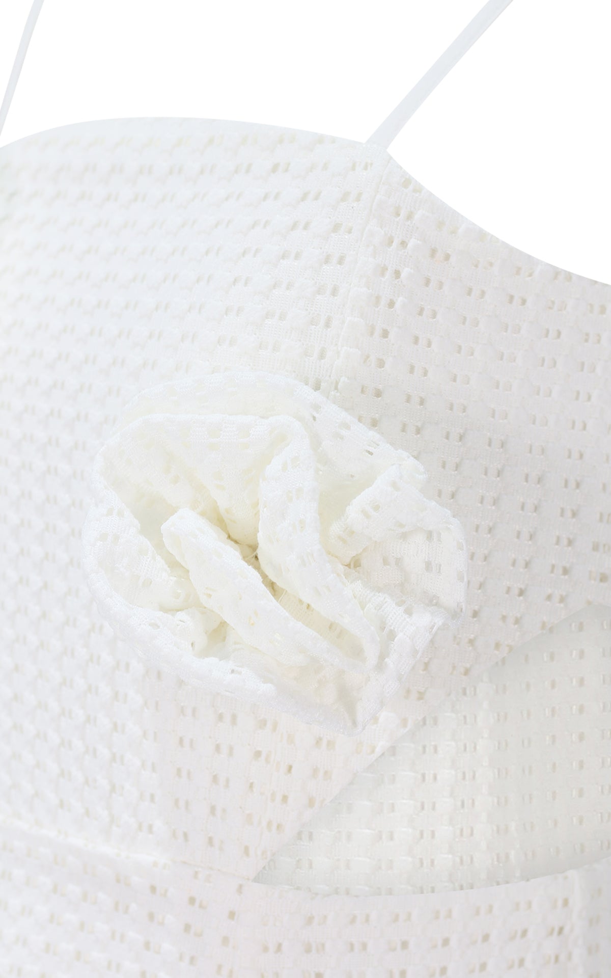 FJDR02946.WHITE.03.jpg