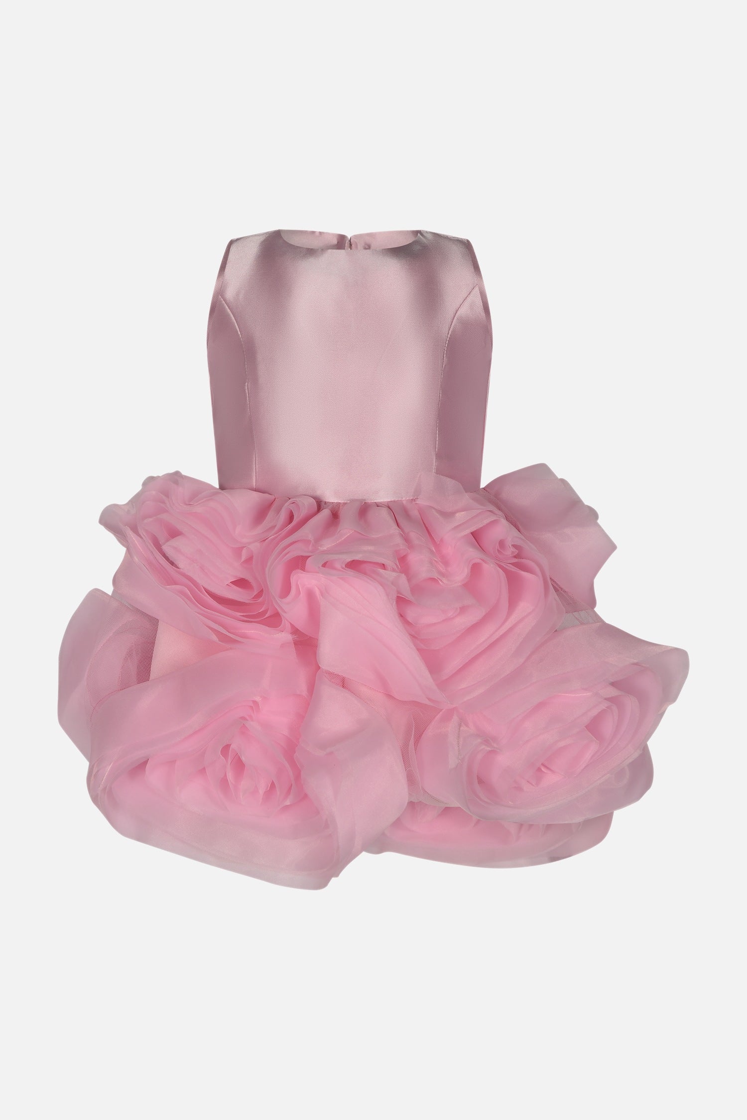 FNCBDR01039.PINK.1.jpg